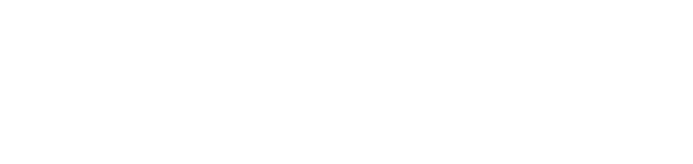 DomiWallet